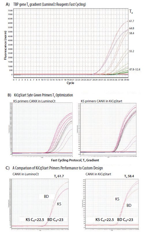 Primer optimization using Ta.