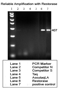 Restorase DNA Polymerase Amplification