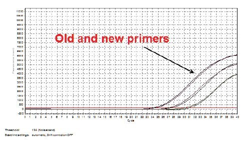 Two batches of primers to EIFB1 were compared in SYBR Green I reagent; the original failing batch and a new batch