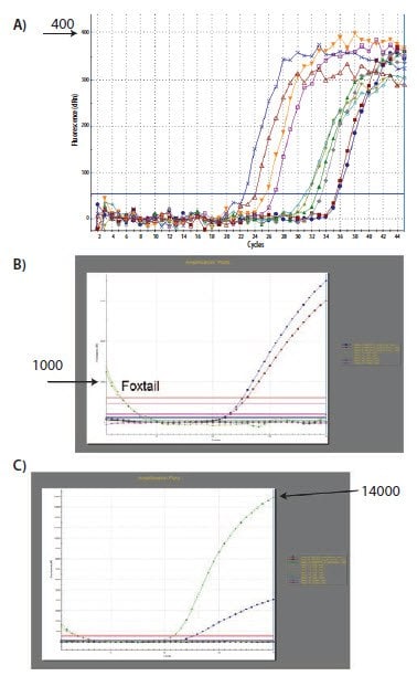 The analysis that was performed and demonstrated