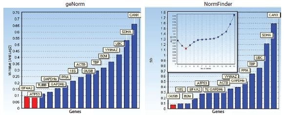 Bar diagrams showing stability measures