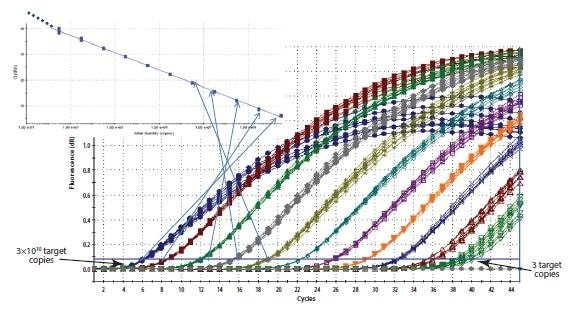 Construction of a Standard Curve.