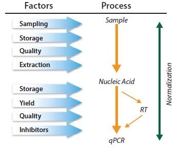 qPCR is a multistep process and each step must be controlled