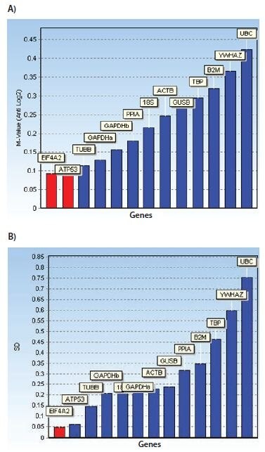 Inspection of the expression profiles and measured Cq values