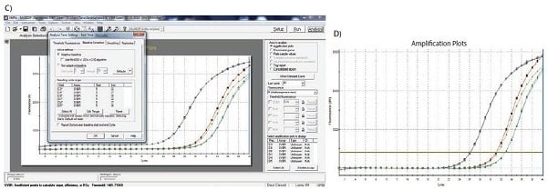 The limits of the start and end of the baseline are defined using the appropriate software settings