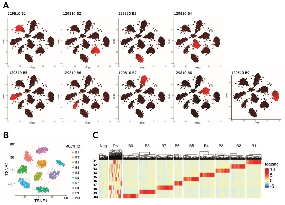 MULTI-seq demultiplexing and QC of a scRNA-seq experiment using 9 different barcodes. scRNA-seq experimental data using MULTI-seq and 9 different barcodes.