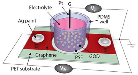 CVD graphene-based FET biosensor