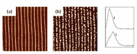 afm-np-preparation