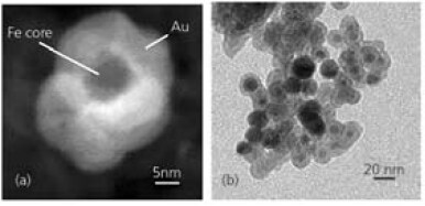 Complex Multi-phase Materials