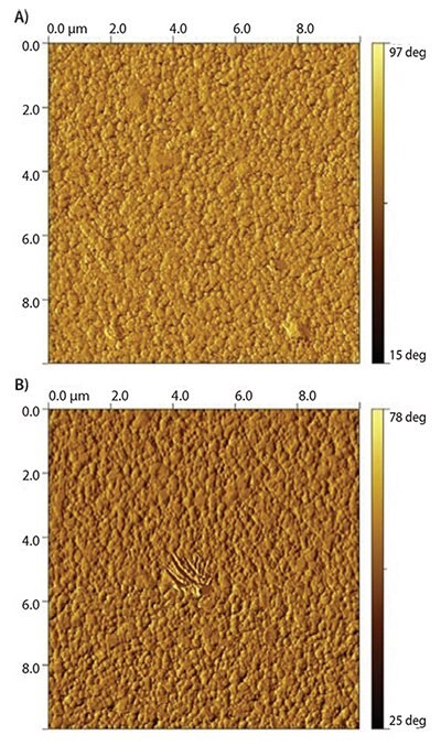 gold surfaces coated