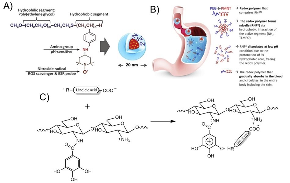 Chemical structure of pH-sensitive antioxidant polymer nanoparticles Struktura chemiczna wrażliwych na pH antyoksydacyjnych nanocząstek polimerowych zawierających segment hydrofilowy (poli(glikol etylenowy) PEG), wrażliwą na pH grupę aminową i zmiatacz ROS (rodnik nitrotlenkowy)