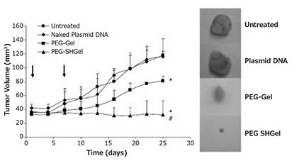 Highlighted nanocarrier example, thiolated and non-thiolated PEGylated type B gelatin nanocarriers Figure 5. Highlighted nanocarrier example, thiolated and non-thiolated PEGylated type B gelatin nanocarriers loaded with pDNA encoding an anti-angiogenic agent stopped tumor growth for 20 days after intravenous administration in mice bearing orthotopic MDA-MB-435 breast adenocarcinoma xenografts. Reprinted with permission from Macmillan Publishers Ltd: Gene Therapy (Reference 17), copyright (2007).