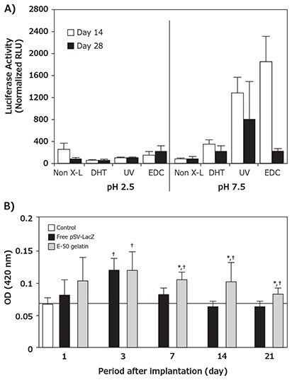 Period after implantation Collagen-mediated naked pDNA delivery