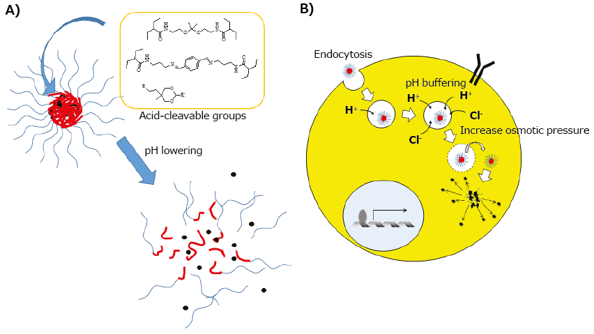 pH-responsive carriers