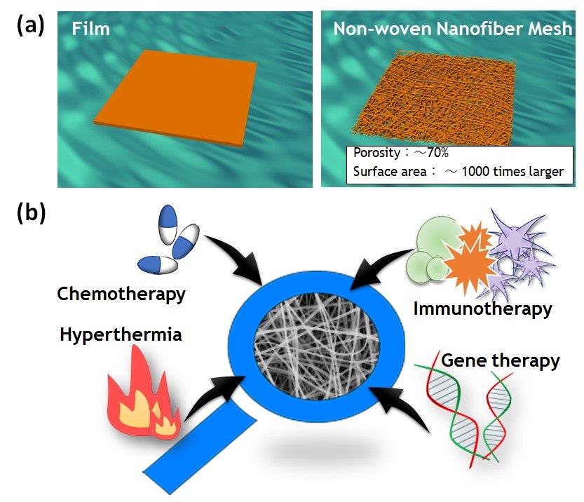 Schematic images of film and nonwoven nanofiber meshes