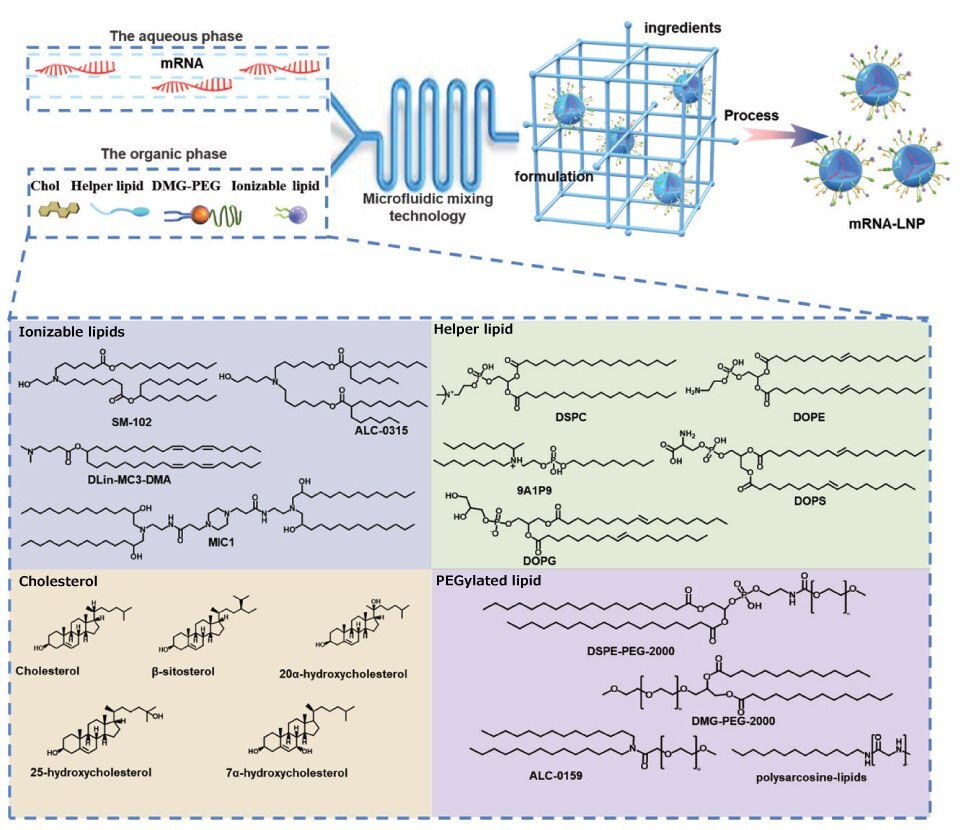 Representative structures of LNP components Górna część obrazu przedstawia mRNA w fazie wodnej i nanocząstki lipidowe w fazie organicznej składające się z czterech składników: jonizowalnych lipidów kationowych, fosfolipidów, cholesterolu i lipidów PEGylowanych. Obie fazy są następnie łączone za pomocą technologii mieszania mikroprzepływowego, która tworzy mRNA-LNP. Dolna część przedstawia różne przykłady czterech składników LNP wraz z ich wzorami strukturalnymi.