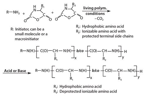 Schematic of NCA polymerization leading to the synthesis