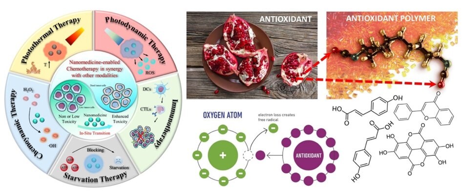 Schematic of various nanomedicine-enabled cancer therapies Schemat różnych terapii przeciwnowotworowych wykorzystujących nanomedycynę, które mogą działać w synergii z chemioterapią, w tym fototermiczną, fotodynamiczną, głodową, chemoynamiczną i immunoterapią.
