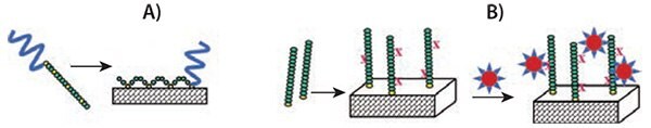 Surface modification with PEGylated PAA