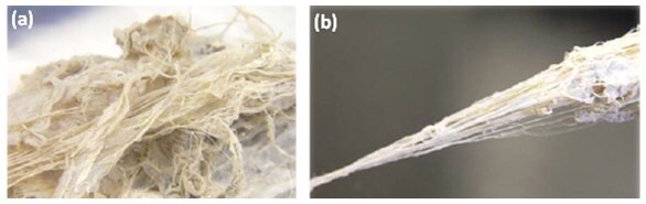 Fibril materials from which BNNT yarns (b) can be drawn