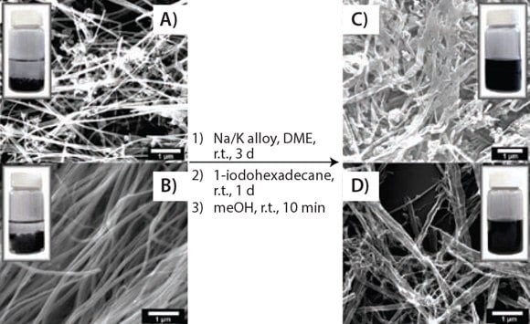 Solubility test. SEM images showing the splitting and functionalizing