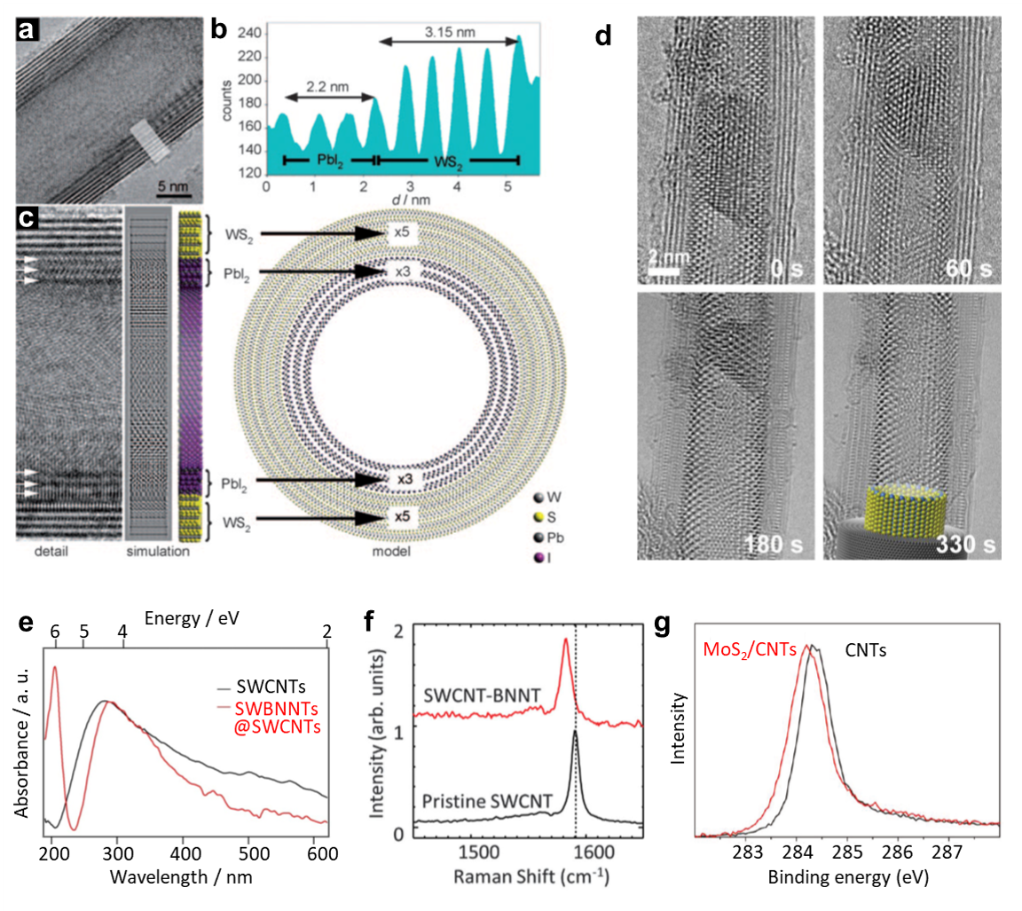 HRTEM micrograph showing a core-shell PbI2@WS2 composite nanotube