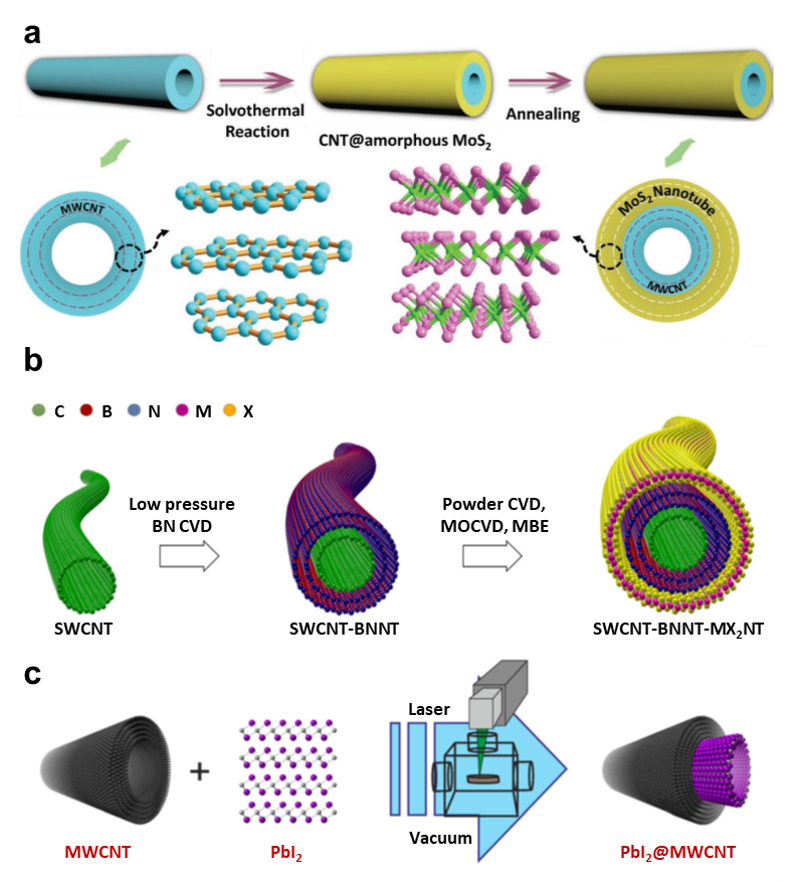 Schematic representation of the solvothermal synthesis process of coating crystalline MoS2 layers onto CNTs