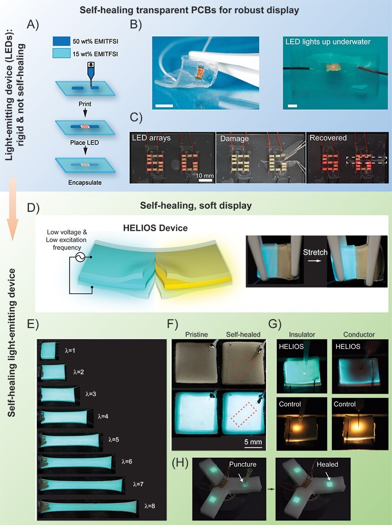 Fig 3 Photographs of self‐healing displays