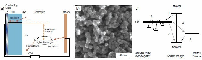 A dye-sensitized solar cell