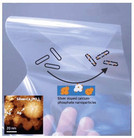 Chemistry in Flames: From Oxide to Salt and Metal Nanoparticles リン酸カルシウムのナノ粒子の表面に1~2 nm銀ナノ粒子が均一に分布した複合ナノ粒子