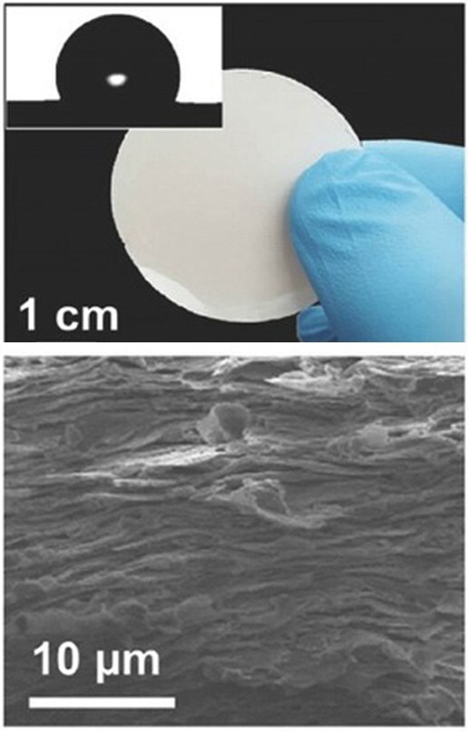 Photograph of RKM and SEM observation on the cross-section of the RKM. Photograph of RKM and SEM observation on the cross-section of the RKM
