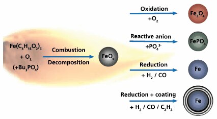 Chemistry in Flames: From Oxide to Salt and Metal Nanoparticles 噴霧火炎合成の汎用性