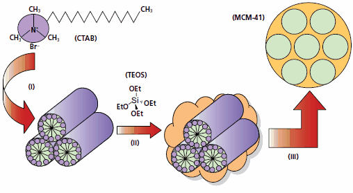 Schematic of the classical mesoporous silica