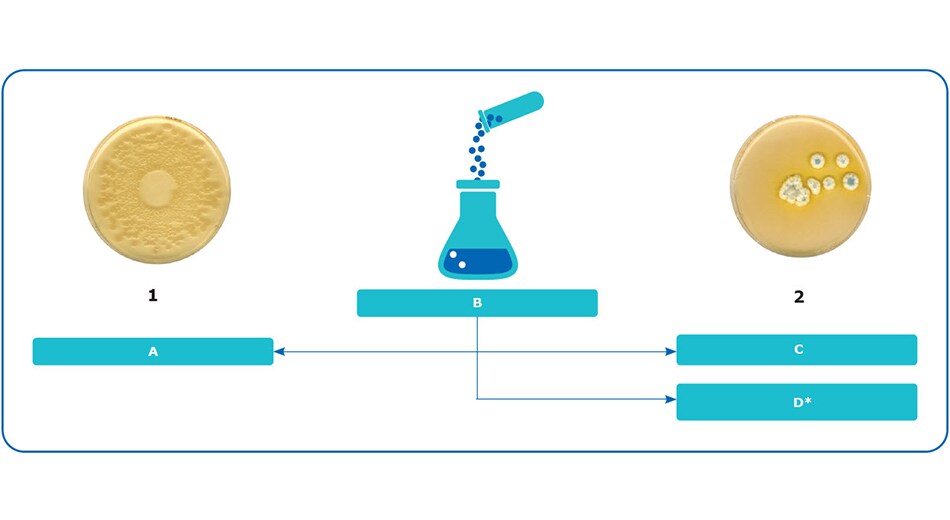 Diagram: Microbial Enumeration Tests