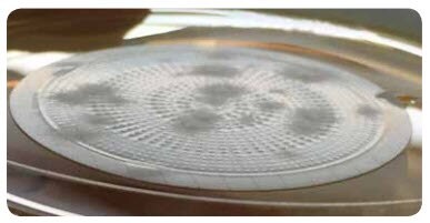 growth-of-aspergillus-brasiliensis Example of visible growth of Aspergillus brasiliensis ATCC® 16404 after a 48 hour incubation