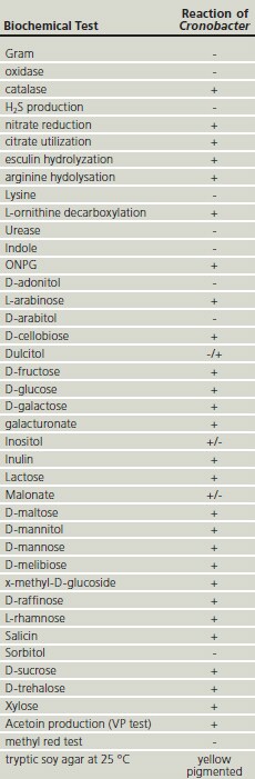 Biochemical reactions from Cronobacter spp.