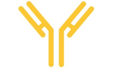 Monoclonal Antibody (mAb) monoclonal antibody (mAb)