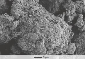 Parteck® M excipient enables tablets to be compacted at low compression forces. 