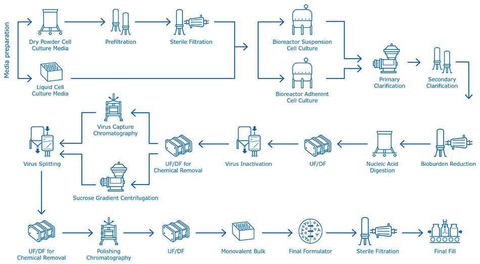 Egg-based influenza vaccine manufacturing process Cell culture-based flu vaccine manufacturing process
