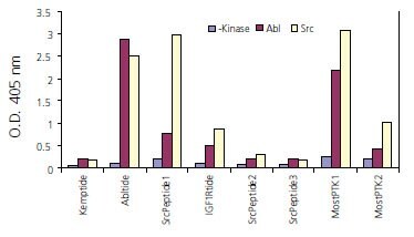 A total of nine biotinylated peptides were synthesized