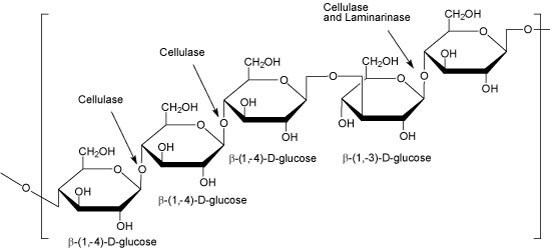 Cerial β-Glucan image