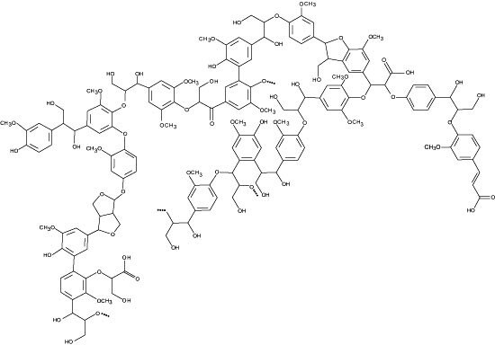 Lignin image