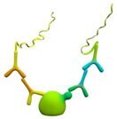 Detection of Protein Modifications