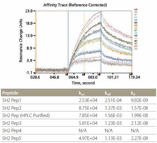 <b>Kinetic Analysis and Data Example</b> of kinetic analysis using SH2-binding peptides. Corresponding data are shown in the table above. Kinetic Analysis and Data Example of kinetic analysis using SH2-binding peptides. Corresponding data are shown in the table above.