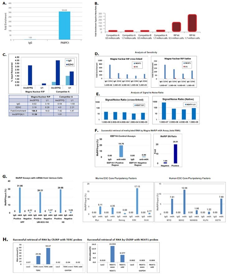 RIP RNAs analyses by qRT-PCR