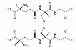 Structure of oxidized glutathione