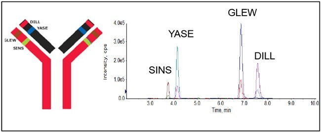 extracted-ion-chromatogram