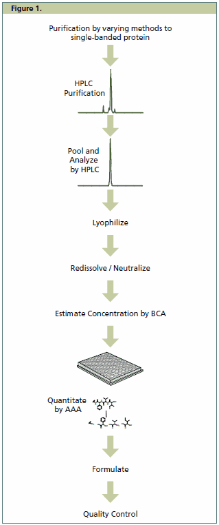 Production of the Universal Proteomics Standards line follows a streamlined process.