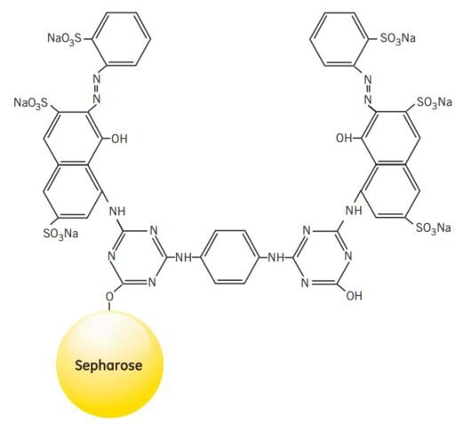 Partial structure of Red Sepharose CL-6B Partial structure of Red Sepharose® CL-6B
