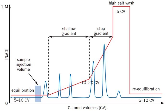 Complex gradient profiles can reduce total separation time for certain separations